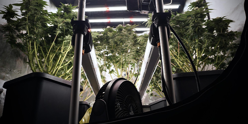 Optimisation des conditions environnementales