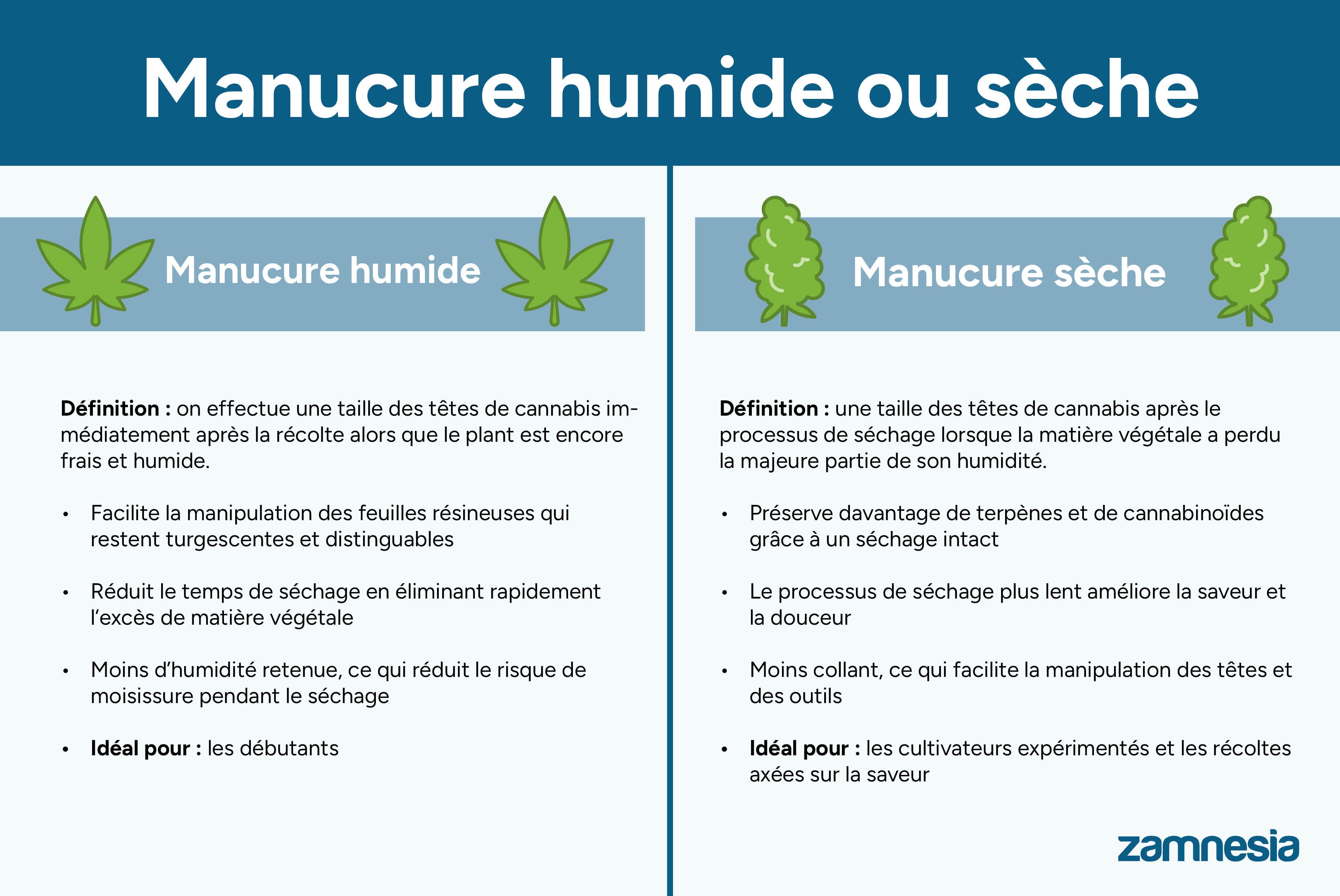 Manucure humide ou sèche : quelle est la meilleure méthode ?