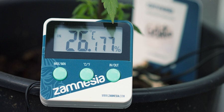 Comment Arroser Les Plants De Cannabis : Humidité relative