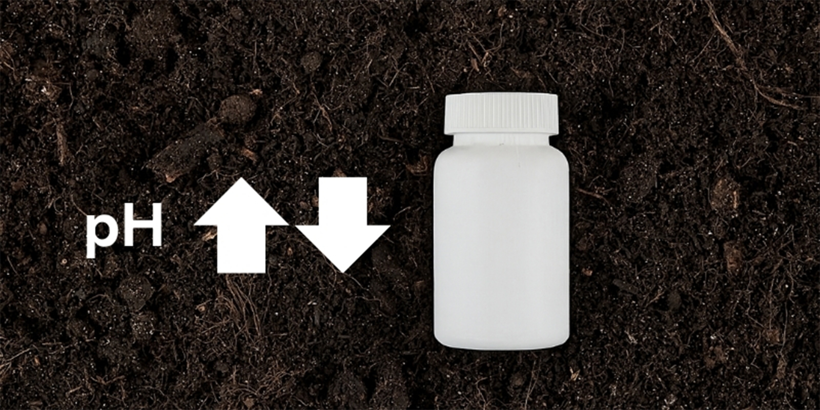 Produits pH + et pH –