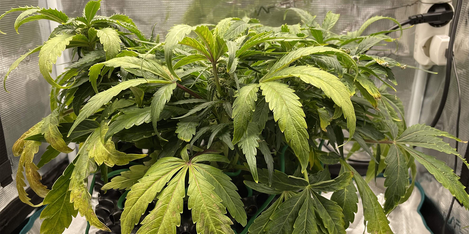 Que se passe-t-il si vous ne faites rien ?