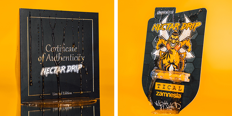 Culture de Nectar Drip : un cycle de vie rapide