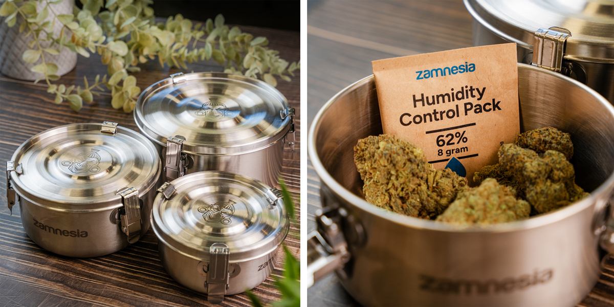 Boîte à curing - Zamnesia : conservez la fraîcheur, la puissance et la qualité