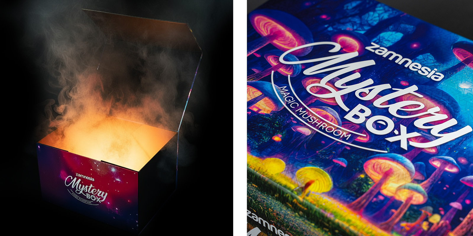 Zamnesia - Magic Mushroom Mystery Box : Plus de 270€ de Produits Champignons Surprise