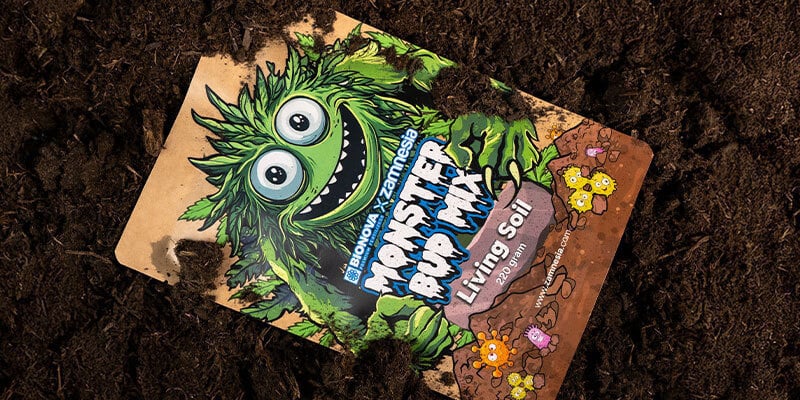 Zamnesia x Bionova - Monster Bud Mix Living Soil : pour des plants et une terre saine