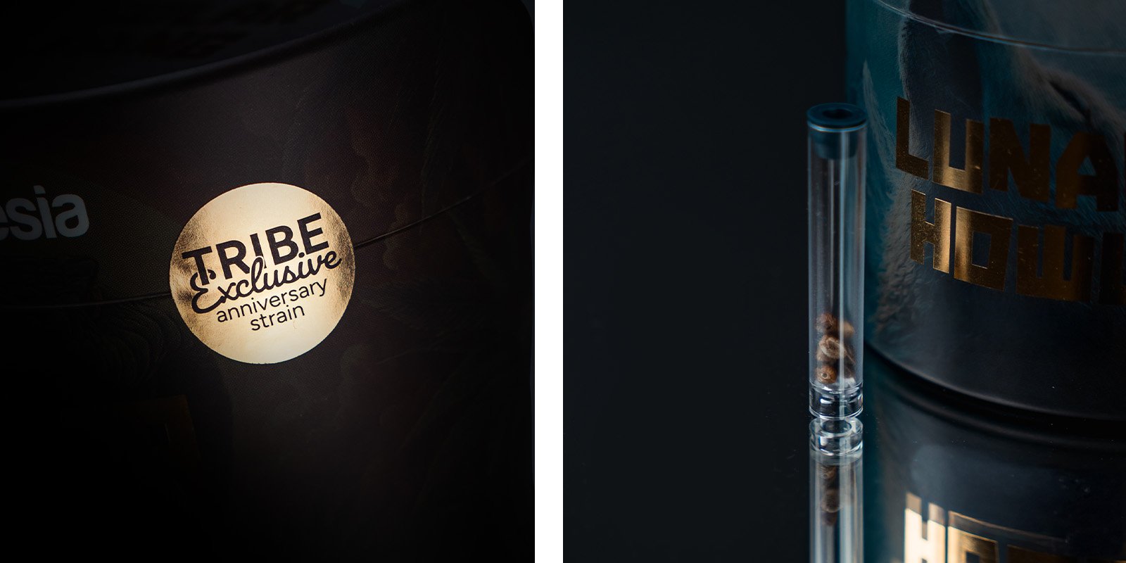 Arômes, saveurs et effets de la Lunar Howl : Un délice de bonbons et d’essence odorant Arômes, saveurs et effets de la Lunar Howl : Un délice de bonbons et d’essence odorant