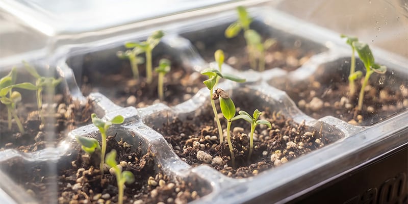 Adapté à tous les cultivateurs