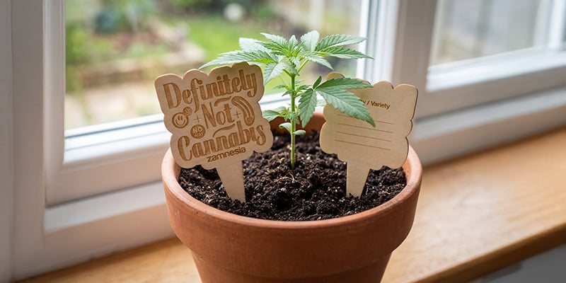 Zamnesia - Étiquette pour pot en bois : suivez vos cultures comme un pro