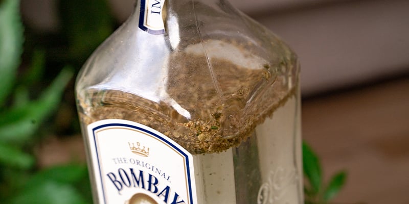 Placez Ensuite La Matière Végétale Broyée Au Sein De Votre Bouteille De Gin