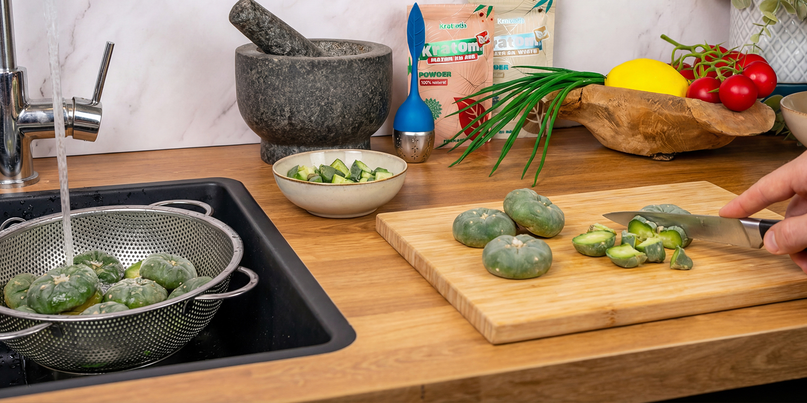 Rincer et couper les tranches de peyotl Rincer et couper les tranches de peyotl