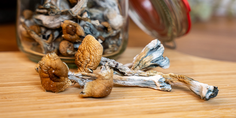 Comment préparer un chocolat chaud avec des champignons