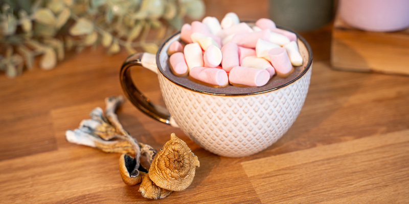 Qu’est-ce que le chocolat aux champignons ?