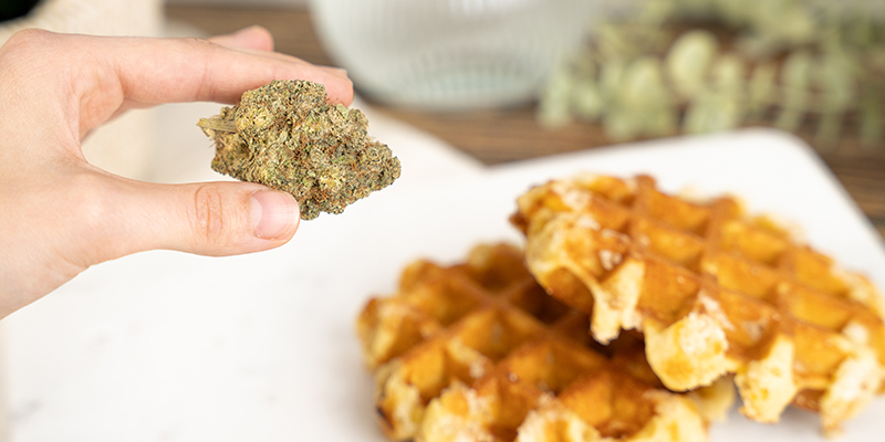 Risques Liés À La Consommation De Gaufres Au Cannabis