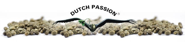 Dutch Passion Seeds