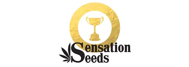 Récompenses Sensation Seeds Récompenses Sensation Seeds