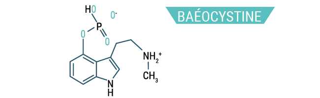 Baéocystine Baéocystine