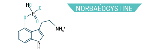 Norbaéocystine Norbaéocystine