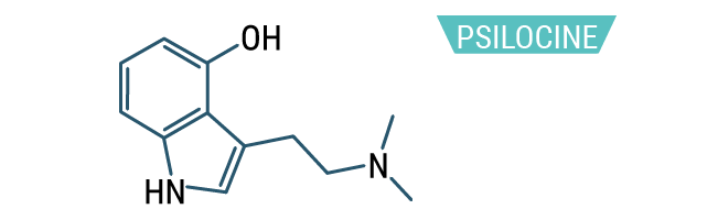 Psilocine Psilocine