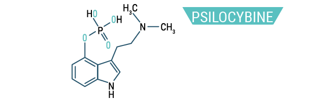 Psilocybine Psilocybine