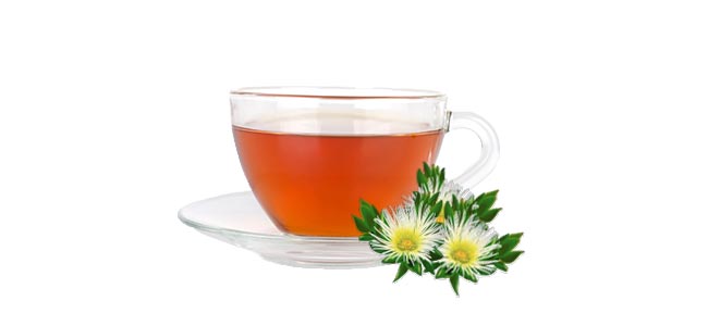 Comment Faire Une Infusion Au Kanna Comment Faire Une Infusion Au Kanna