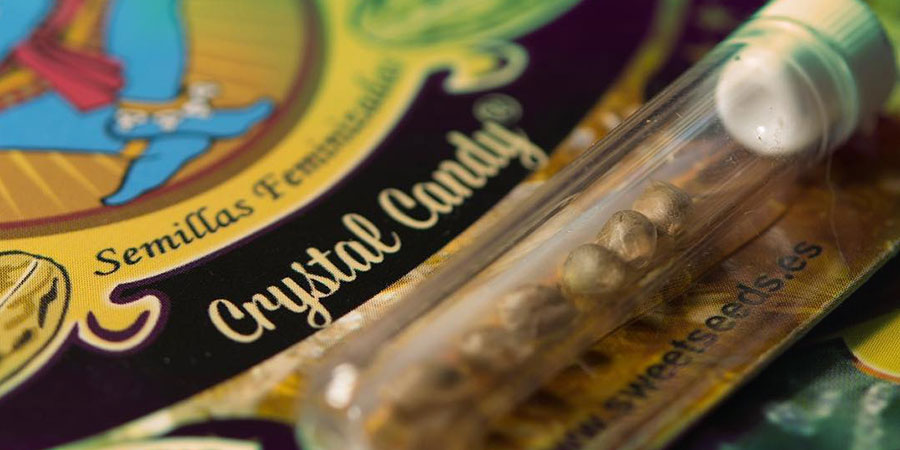 Emballage De Sweet Seeds Emballage de Sweet Seeds