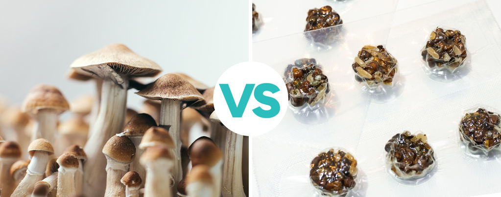 Quelle est la différence entre les champignons et les truffes magiques ?