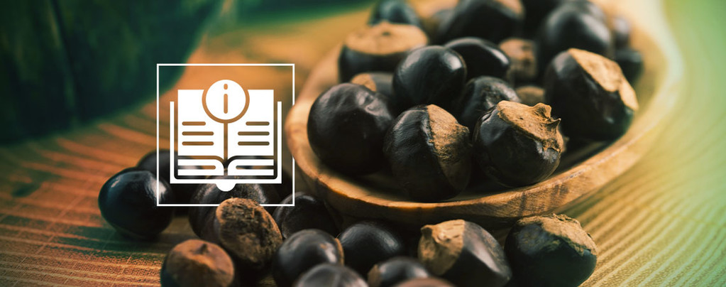 Tout Ce Qu'Il Faut Savoir Sur Le Guarana