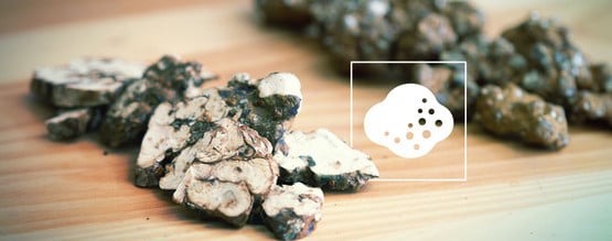 Comment Marchent Les Truffes Magiques