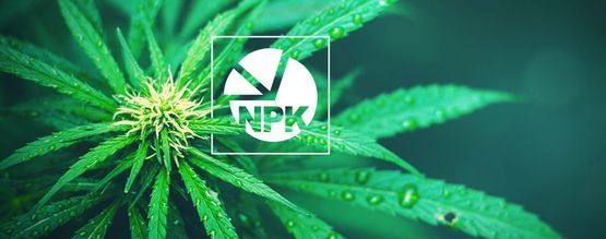 NPK : Le Meilleur Ratio En Nutriments En Culture Du Cannabis