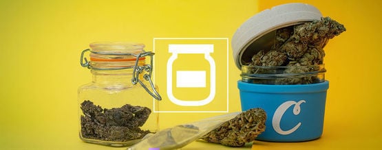 Meilleures Façons De Conserver Du Cannabis Et Maintenir Sa Fraicheur