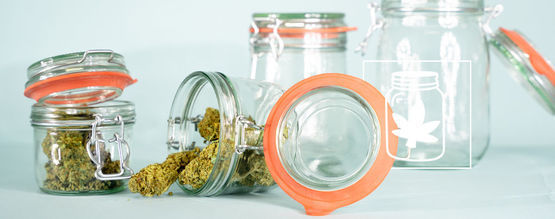 Comment Affiner Votre Cannabis