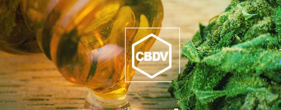 Qu'Est-Ce Que La CBDV ?