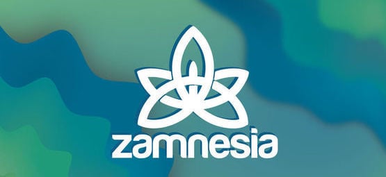 Calculateur de Détoxification du THC