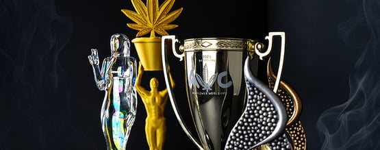 Célébration de l’excellence : nos différents accomplissements