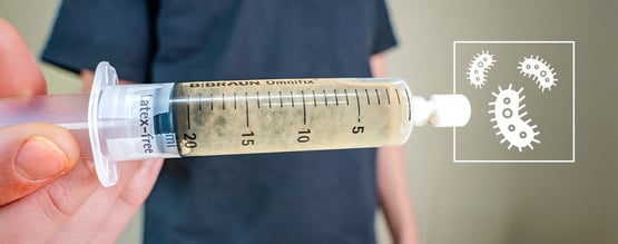 Qu’est-ce que les cultures liquides ? Le guide pratique pour débutants