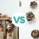Quelle est la différence entre les champignons et les truffes magiques ?