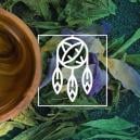 Qu'est-ce Que Calea Zacatechichi?