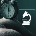 Combien De Temps Les Drogues Restent-elles Dans Le Corps?