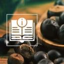Tout Ce Qu'Il Faut Savoir Sur Le Guarana
