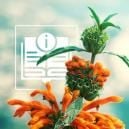 Queue De Lion: Tout Ce Que Vous Devez Savoir