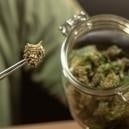 Comment conserver du cannabis correctement