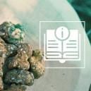 Tout Ce Que Vous Devez Savoir Sur Les Truffes Magiques