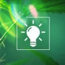 Choisir La Bonne Lampe Pour Votre Culture