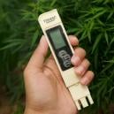 Meilleur EC pour le cannabis