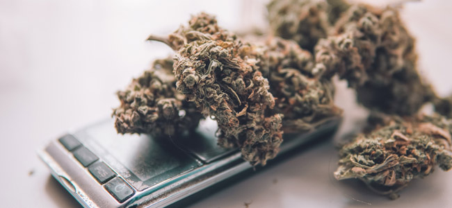 L'échelle pèse le cannabis L'échelle pèse le cannabis