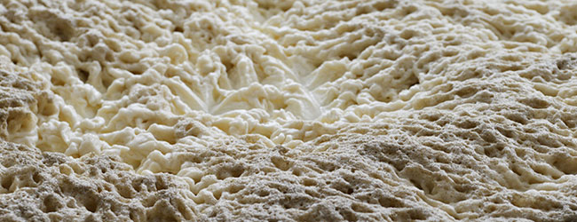 Fermentation Fermentation