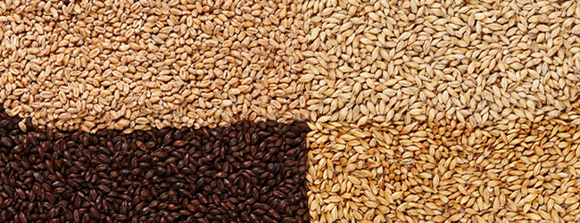 Différents types de malt Différents types de malt