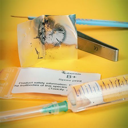 Dick Seingue U00e0 Aliments : Amazon.f: Cuisine Et Maison