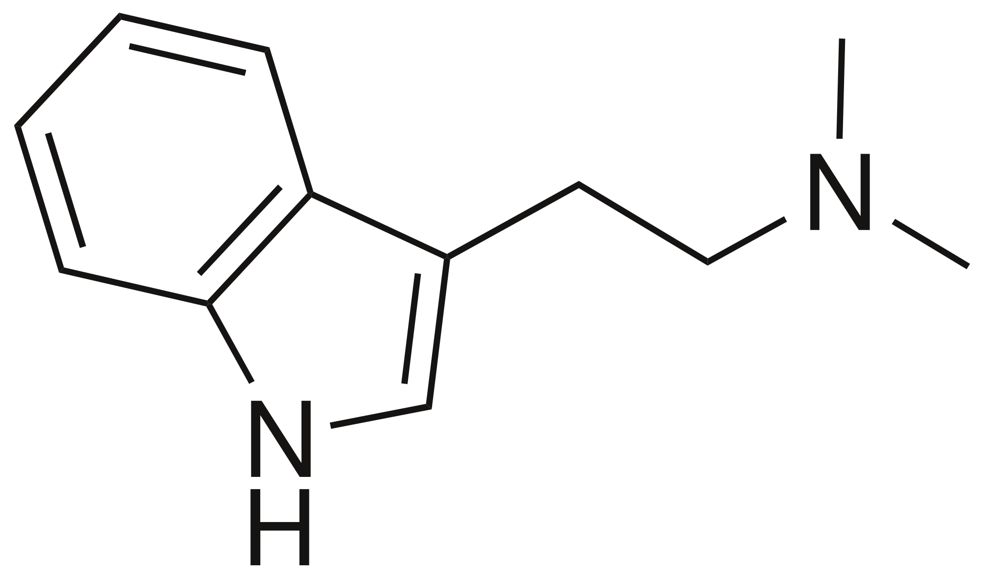 Diméthyltryptamine Diméthyltryptamine