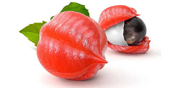 Guarana Guarana